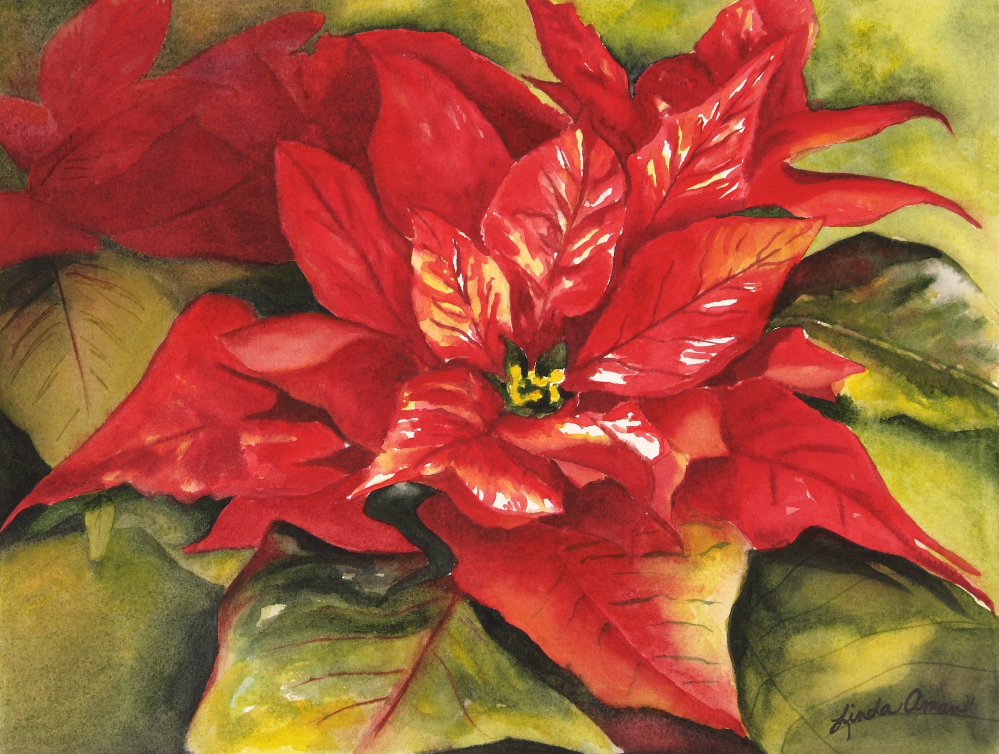 Painting a Christmas Poinsettia Watercolor Workshop