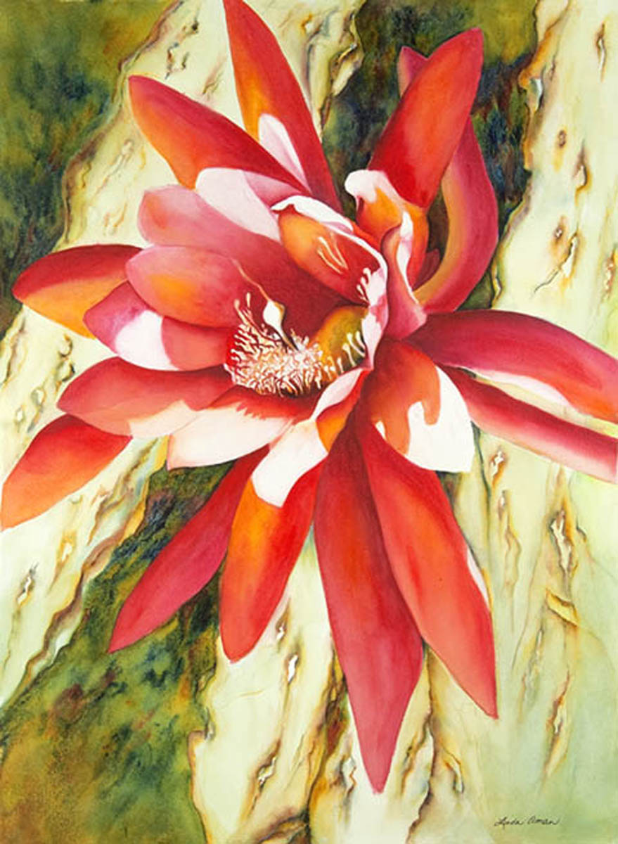 Cactus Blossom – 40” x 32” Original Watercolor :: NFS