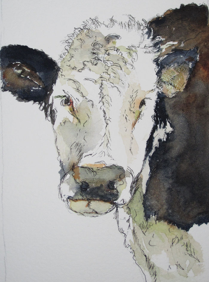 Cow - 8" x 10" Original Watercolor :: SOLD