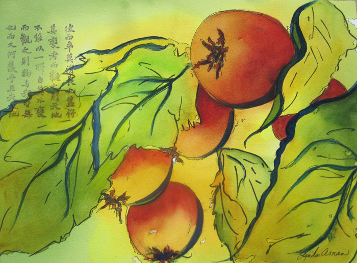 Patterned Persimmons - 16" x 20" Original Matted Ready to Frame Watercolor :: $200