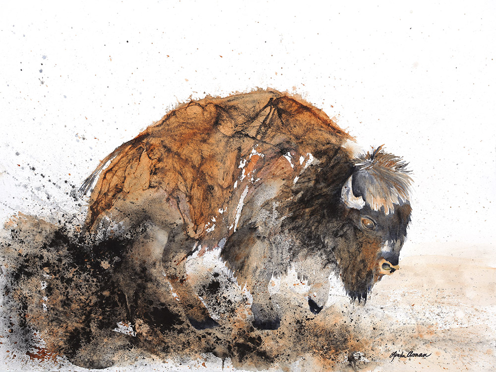 Bison Original Watercolor - Fine Art Print
